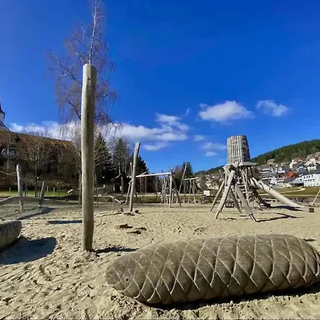 Appartamento Relax-apartment 149 Mit Indoor-pool, Sauna, Massagesessel Und Netflix Schonach im Schwarzwald